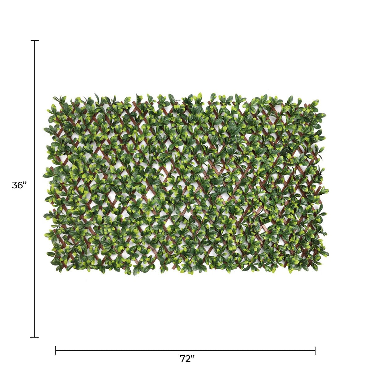 Ligustrum Ficus Expandable Artificial Trellis Privacy Screen – UV Resistant-1
