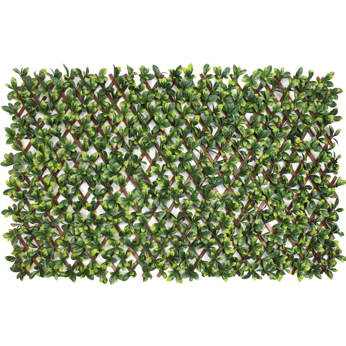 Ligustrum Ficus Expandable Artificial Trellis Privacy Screen – UV Resistant-0