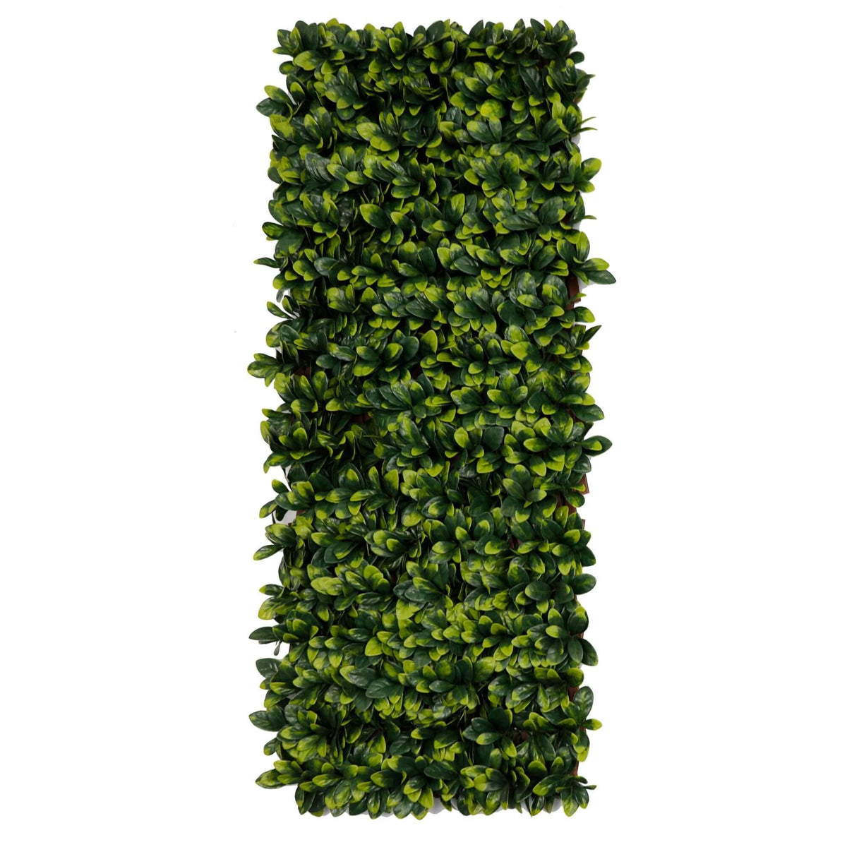 Ligustrum Ficus Expandable Artificial Trellis Privacy Screen – UV Resistant-2