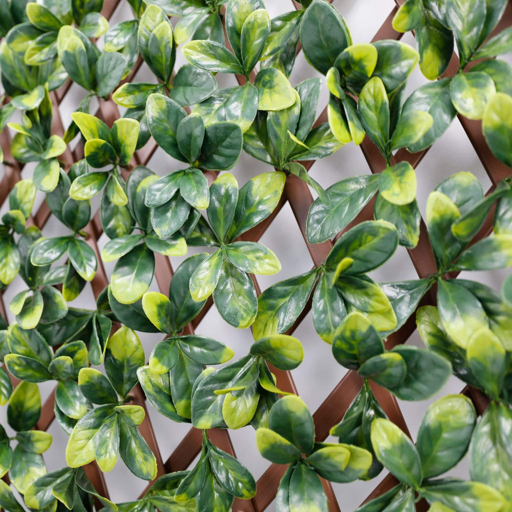 Ligustrum Ficus Expandable Artificial Trellis Privacy Screen – UV Resistant-4