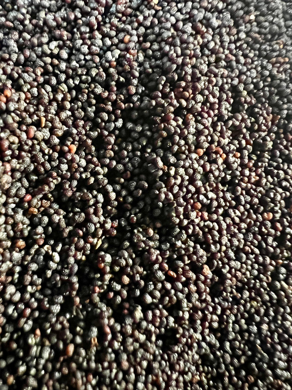 Ripkitty Premium Unwashed Untreated Unprocessed Organic Raw Papaver Somniferum Culinary Poppy Seeds-3