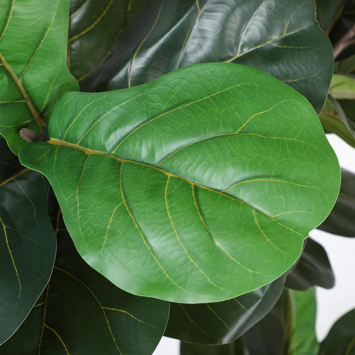 Faux Fiddle Leaf Fig Tree 6'-2