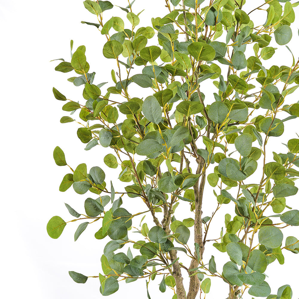 Artificial Eucalyptus Tree, 7'-2
