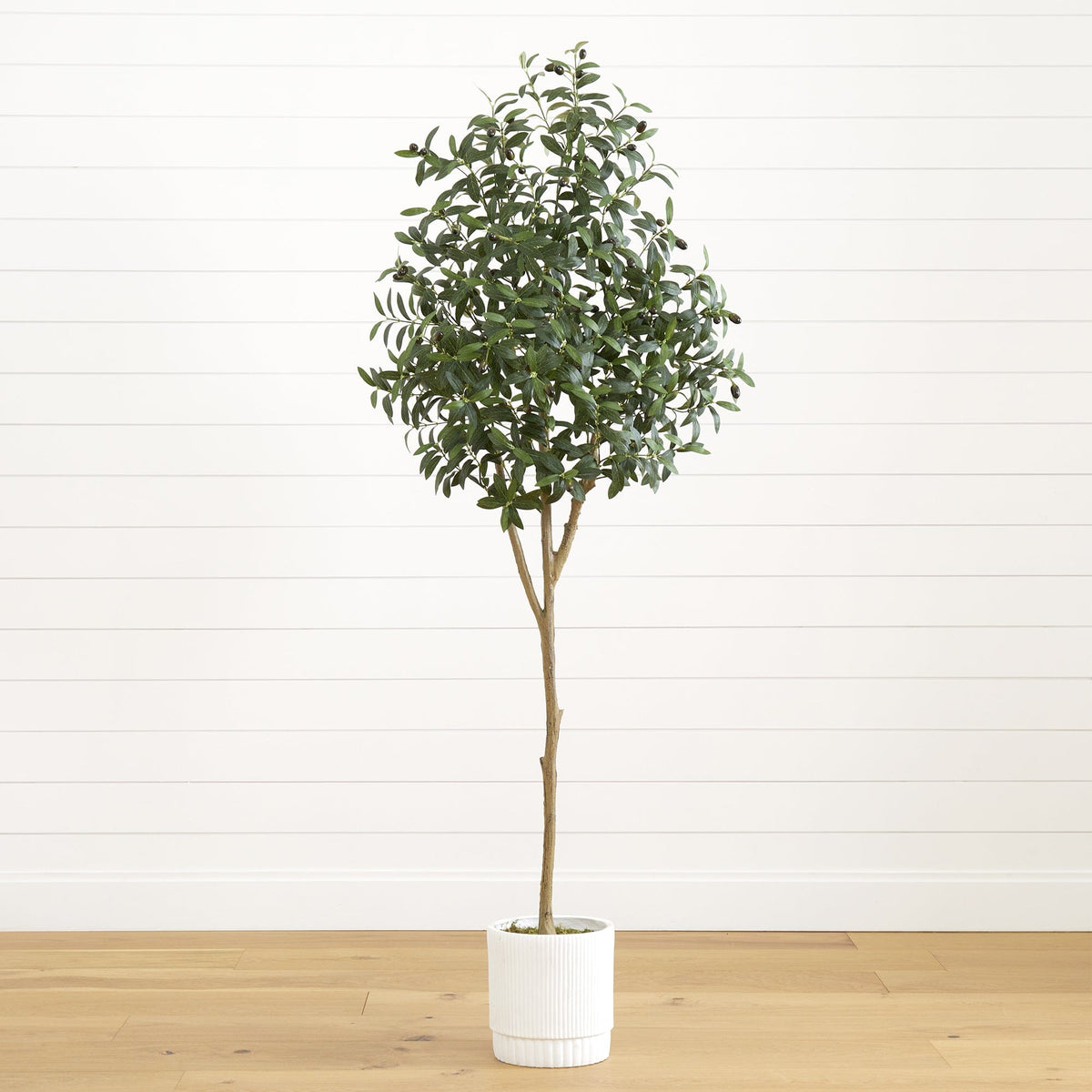 Faux Olive Tree in White Planter-0