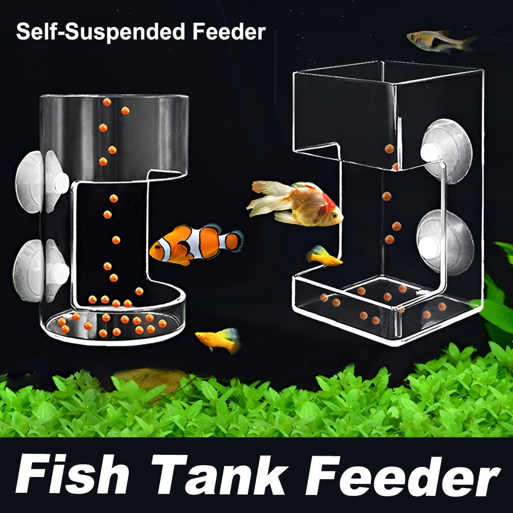 Floating aquarium feeding ring in transparent plastic with two secure suction cups mounted on glass