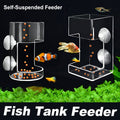 Floating aquarium feeding ring in transparent plastic with two secure suction cups mounted on glass