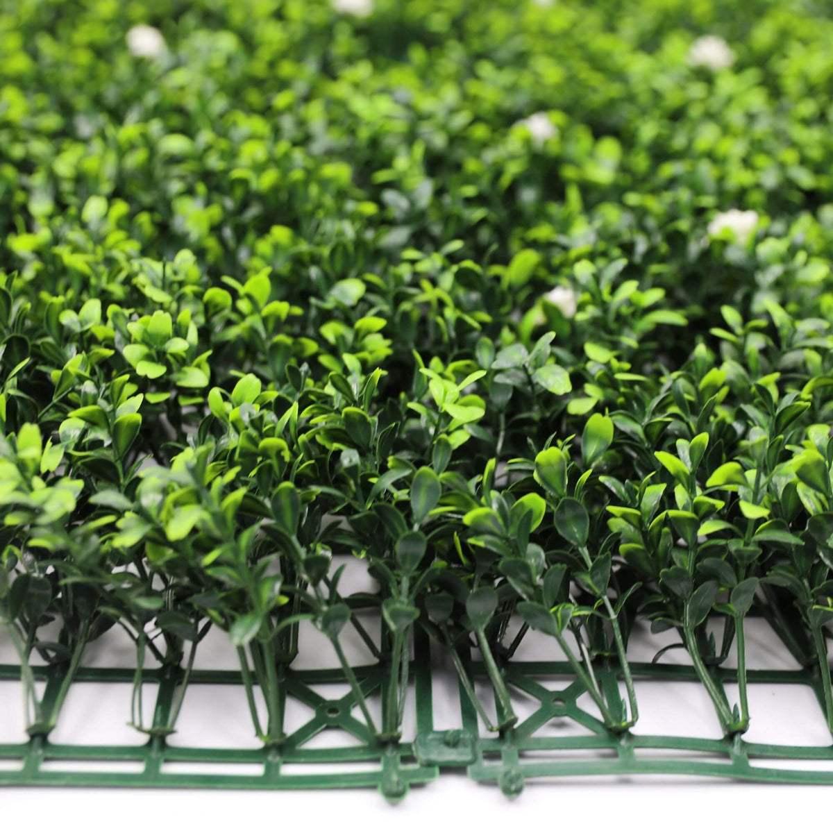 White Flowering Boxwood Artificial Vertical Garden Green Wall Panel 40×40in 11 SQ FT – UV Resistant – Commercial Grade-3