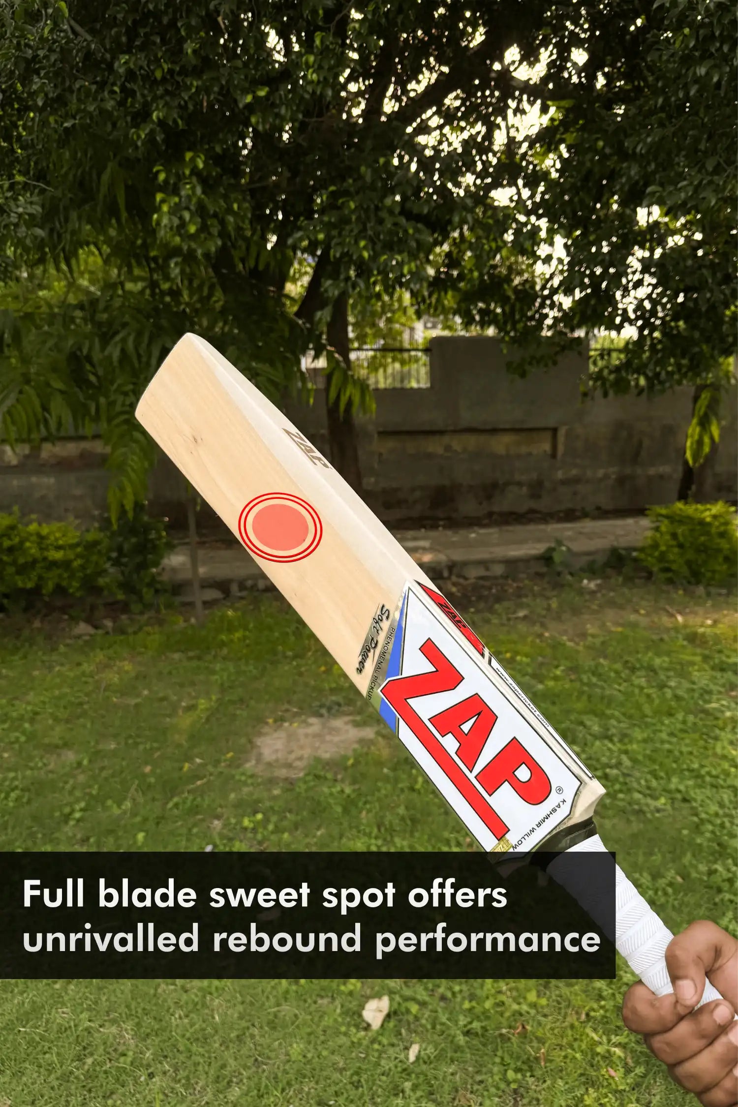 ZAP Soft Power Scoop premium Kashmir willow tennis cricket bat with chevron grip — view 2