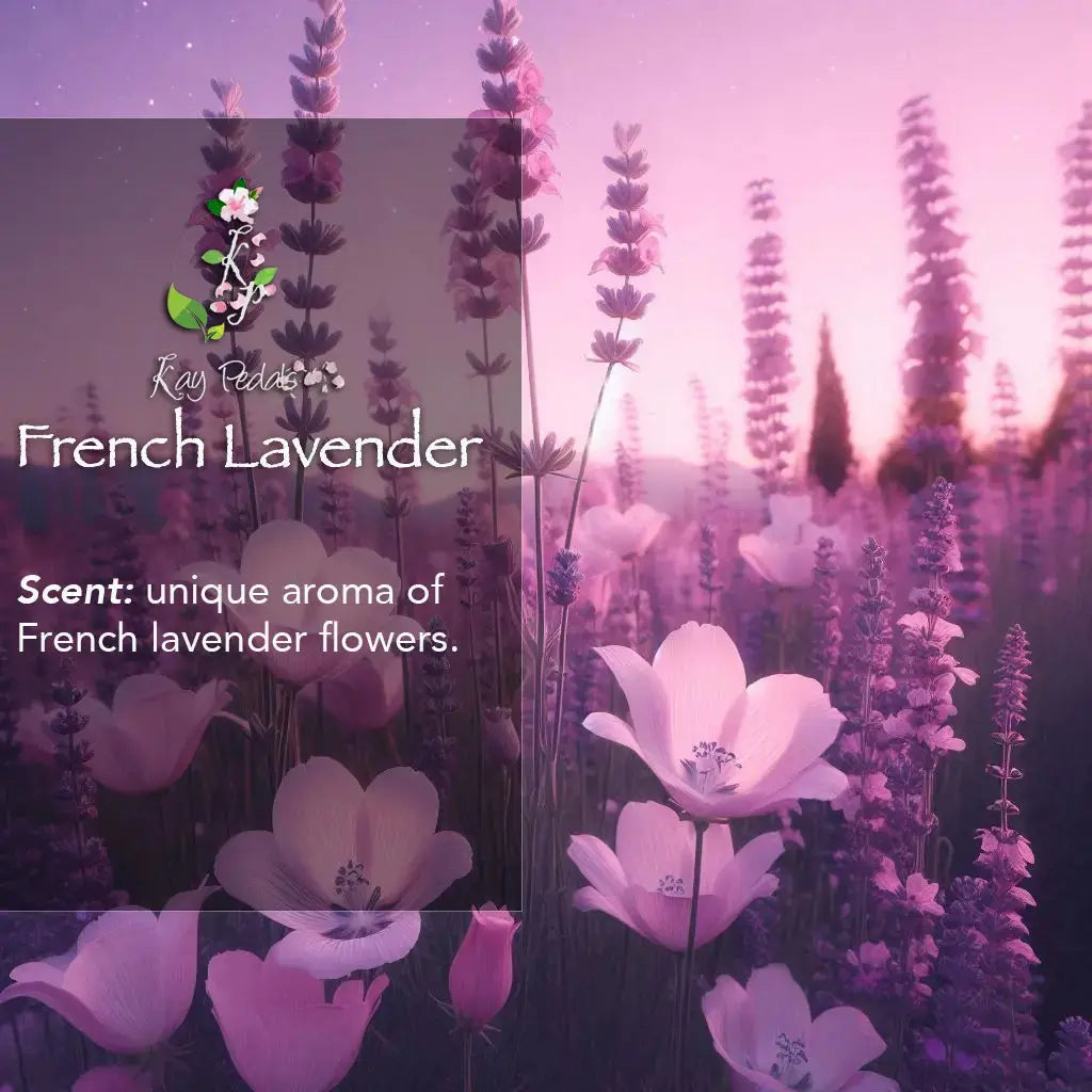 French Lavender Bundle Skin Care Gift Set-3