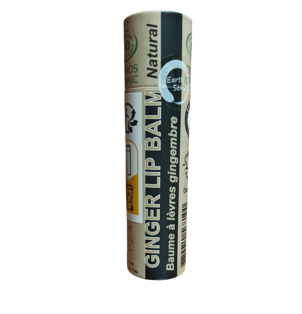 Organic ginger lip balm in an eco-friendly brown push-up paper tube packaging for sustainable skincare — view 2