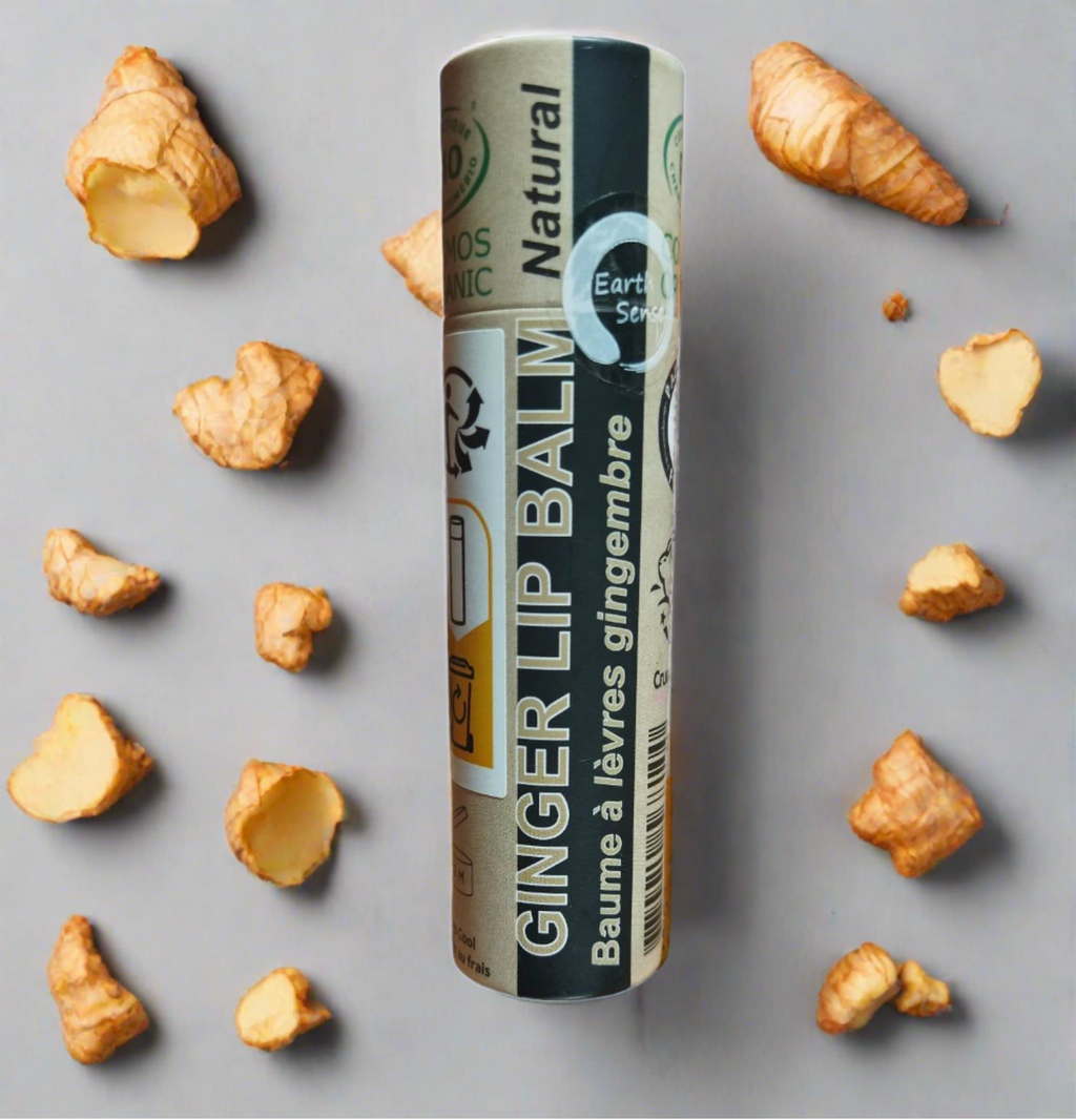 Organic ginger lip balm in an eco-friendly brown push-up paper tube packaging for sustainable skincare