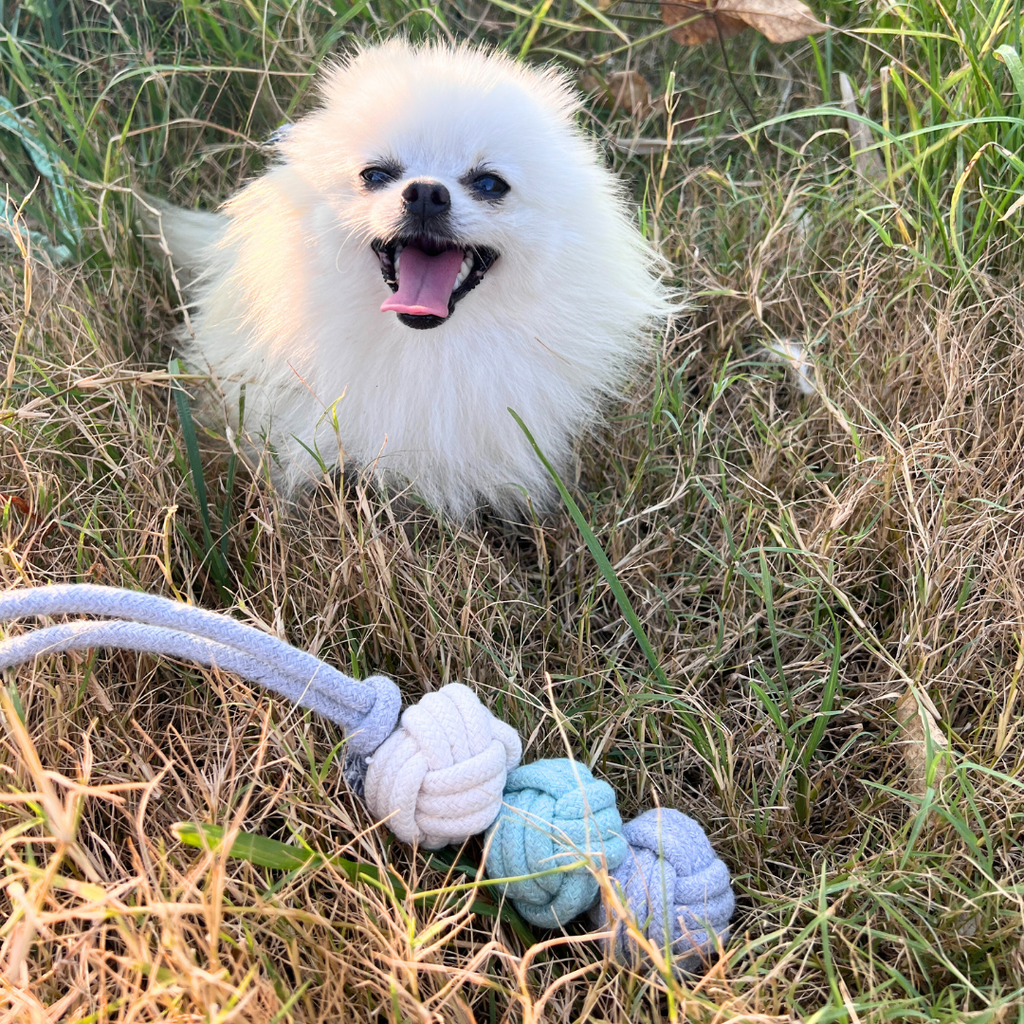 Mint Ice Cream Rope Balls Puppy Tug Toy-2