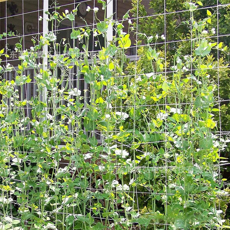 White polyester plant trellis netting supporting green vining vegetable plants in an outdoor garden — view 5