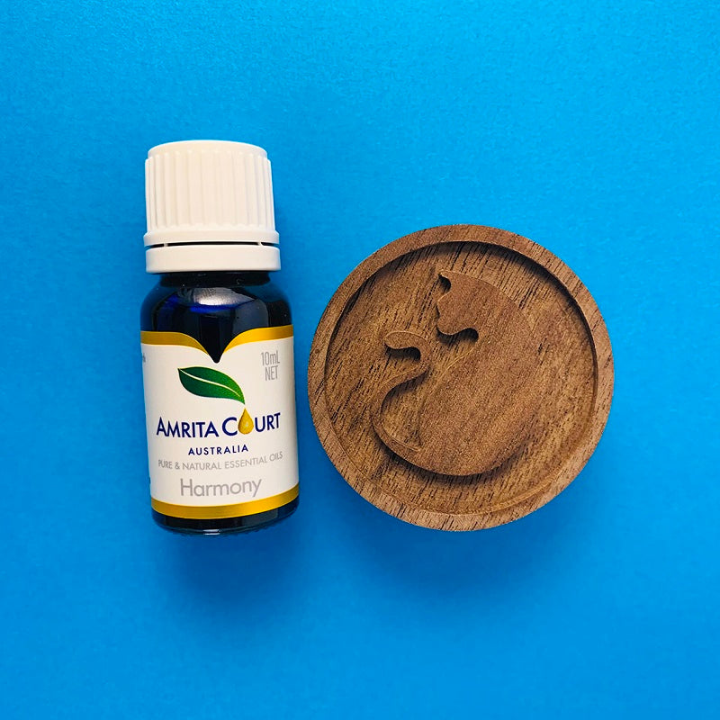 Harmony+Wood Diffuser | Calming & Grounding | Confident & In Control | Essential Oil Combo-1