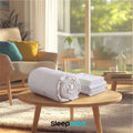 White eucalyptus silk cooling comforter and two matching quilted pillow shams neatly arranged on bed