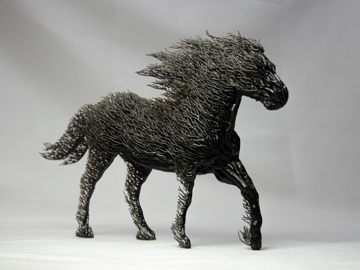 Black Grown Horse-1