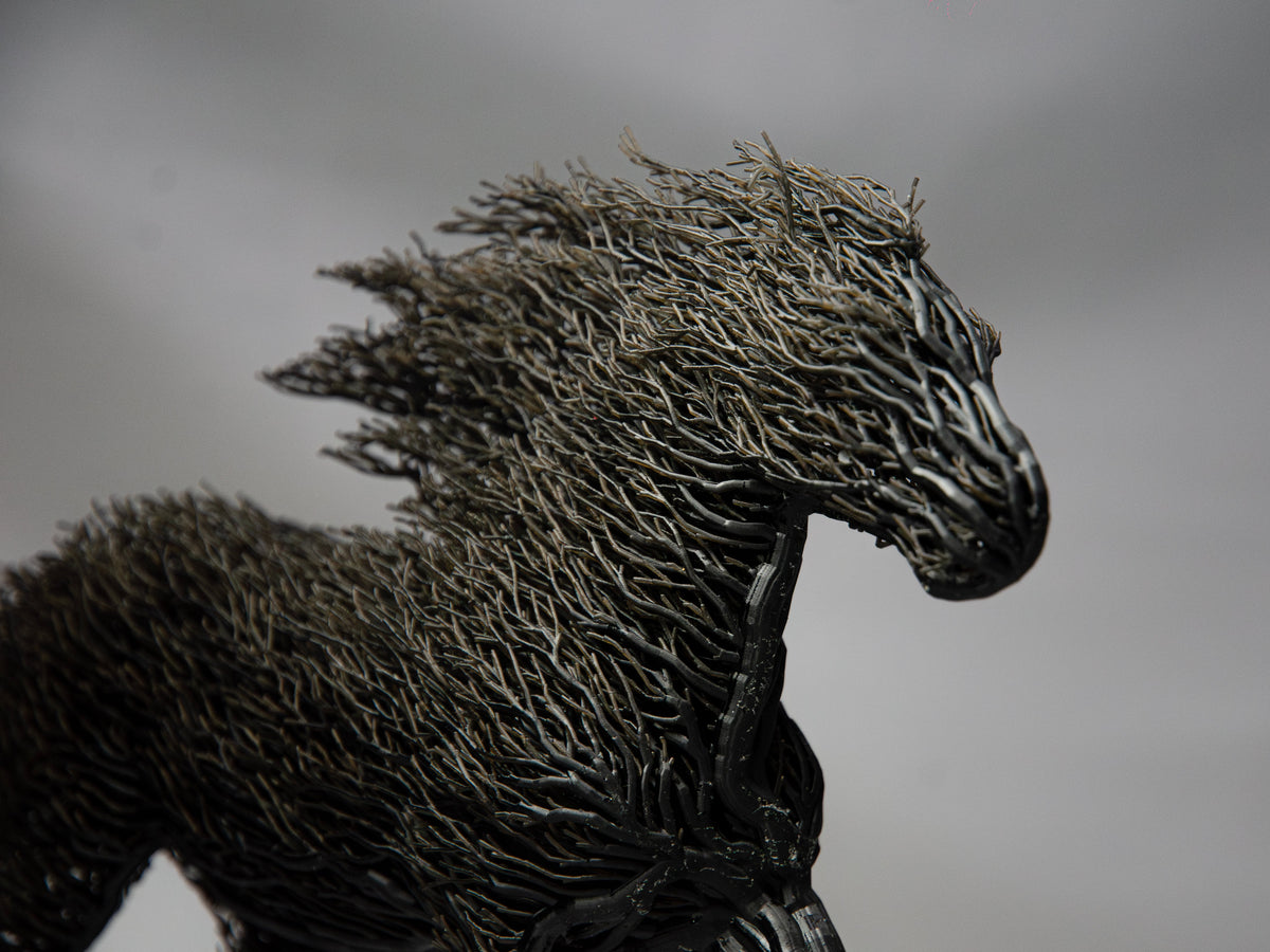 Black Grown Horse-4