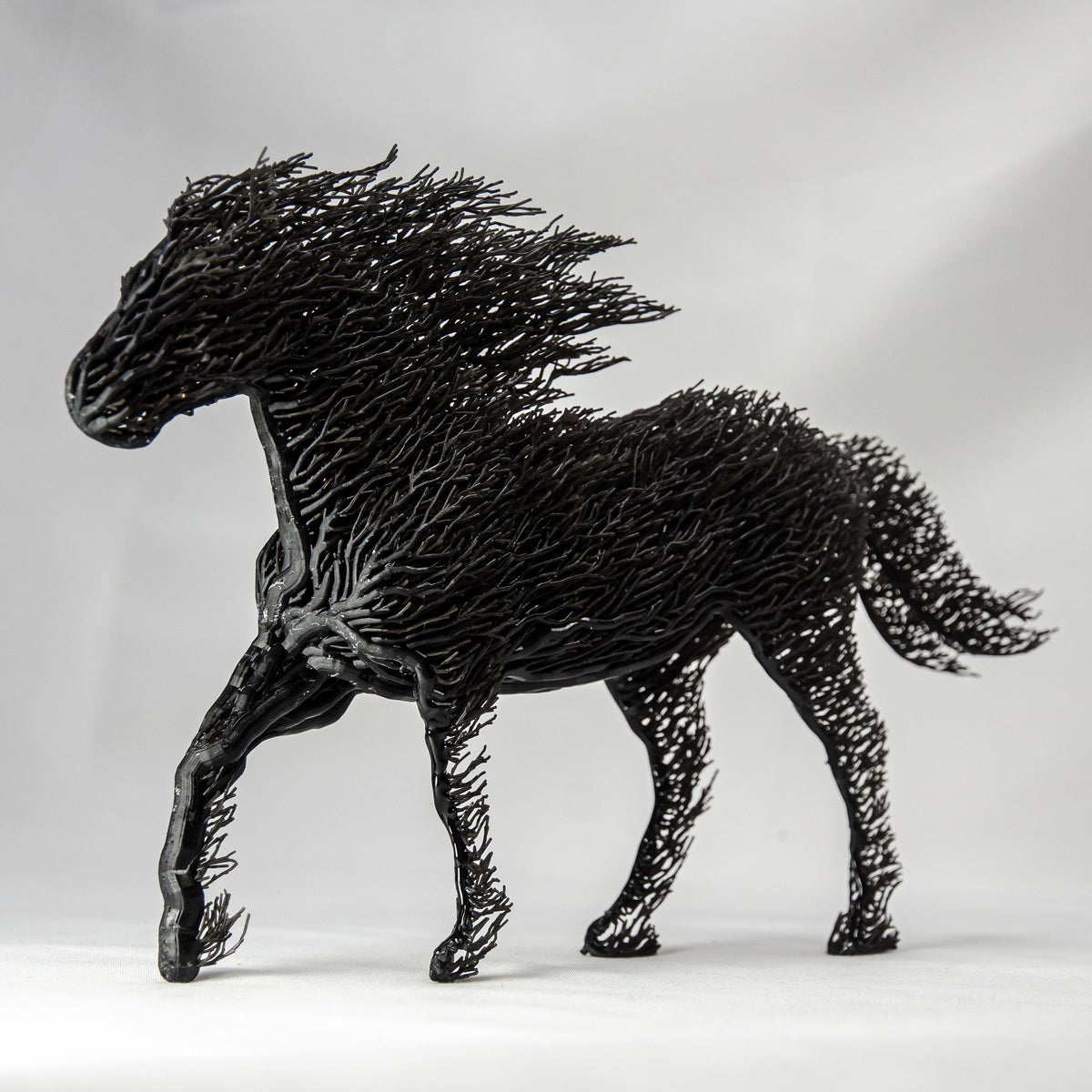 White Grown Horse-5