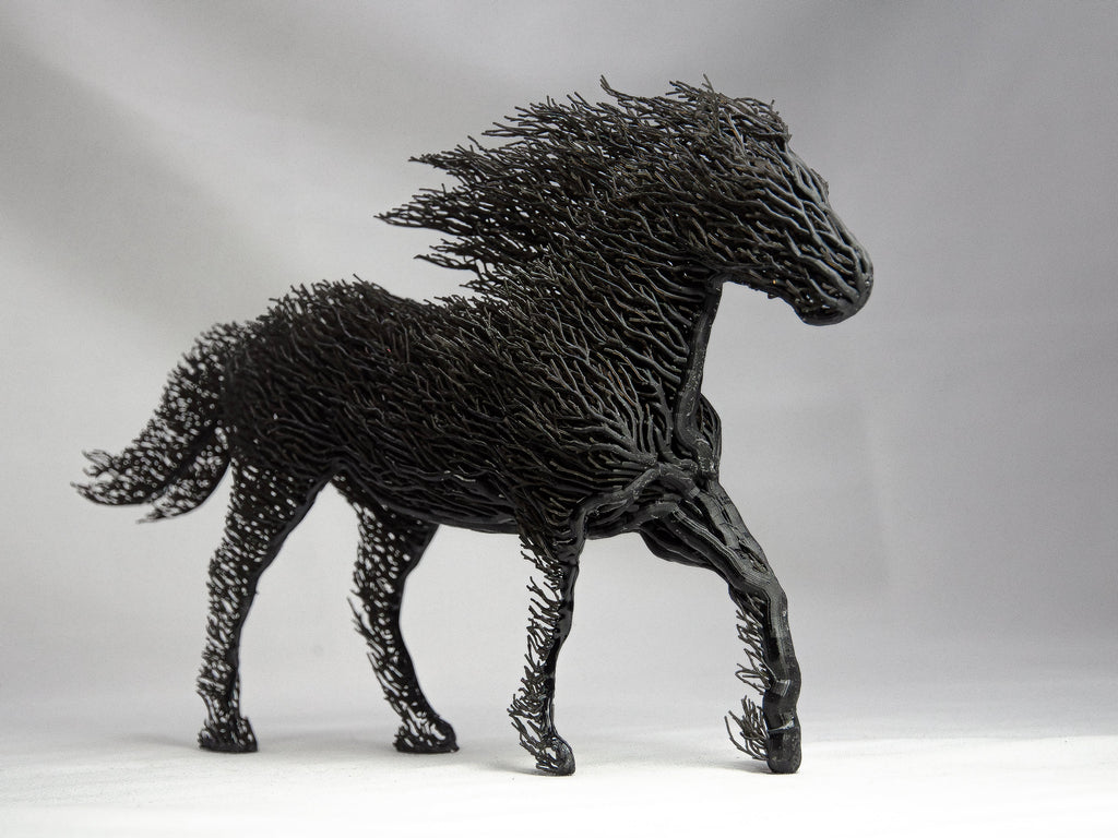 Black Grown Horse-3