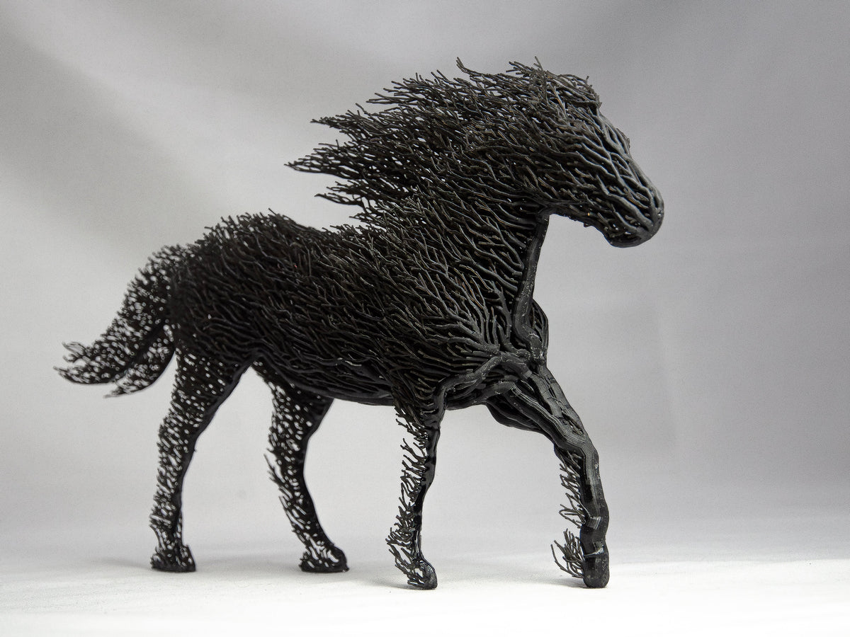 Black Grown Horse-3