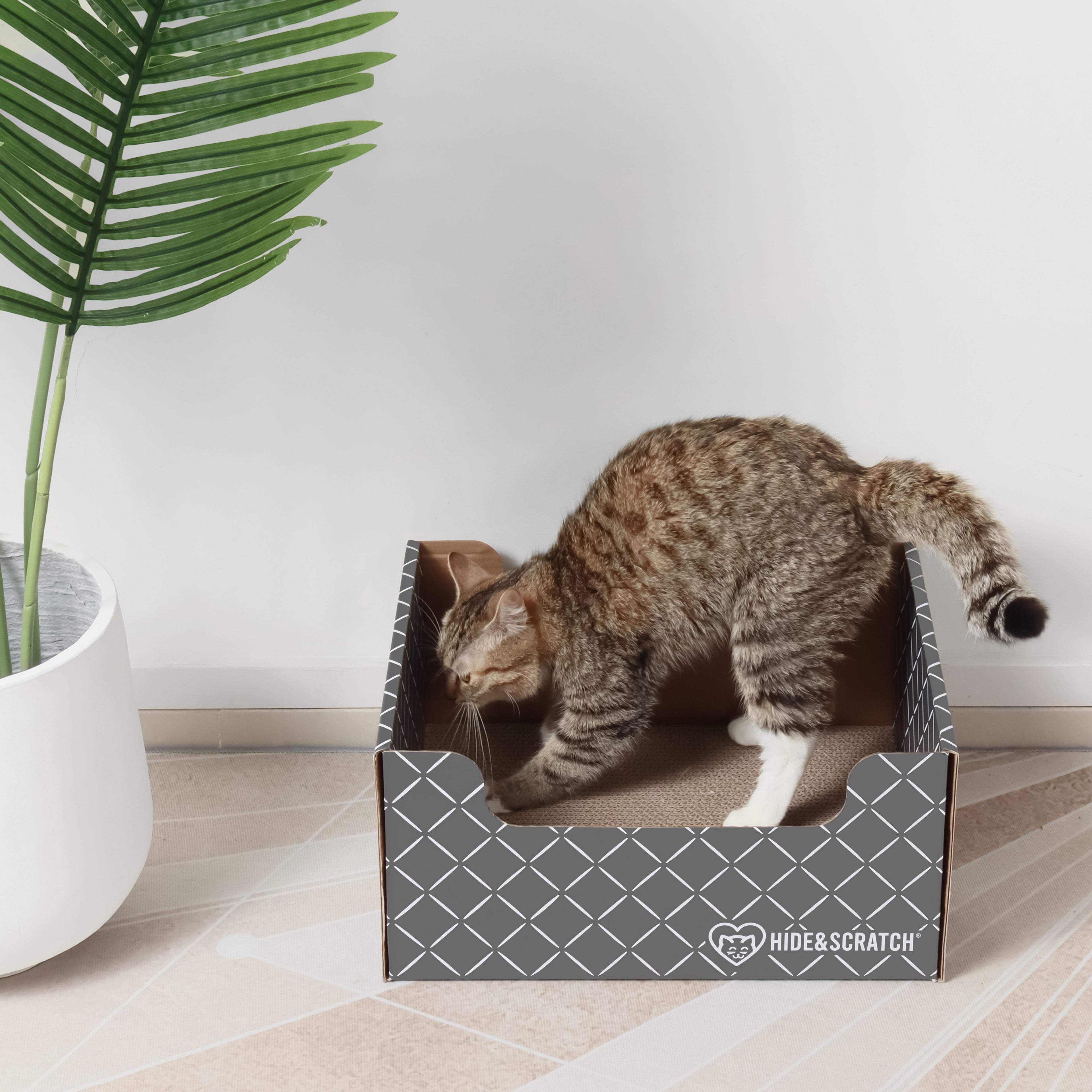 Fifteen pack of corrugated cardboard cat scratcher hideaway boxes for indoor feline play and lounging — view 2