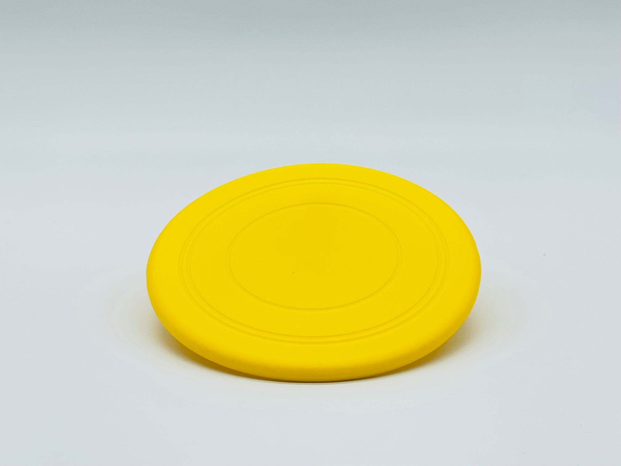 Fetch Me Frisbee dog toy, non-toxic flexible plastic flying disc for outdoor catch games. — view 2