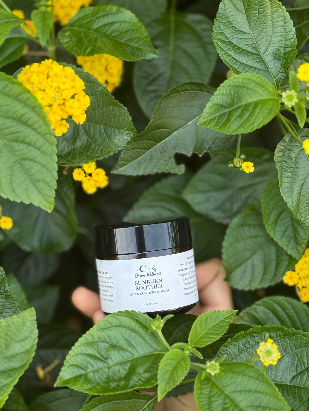 Natural Sun Soother after sun balm jar with soothing herbal ingredients and aloe vera extract — view 5