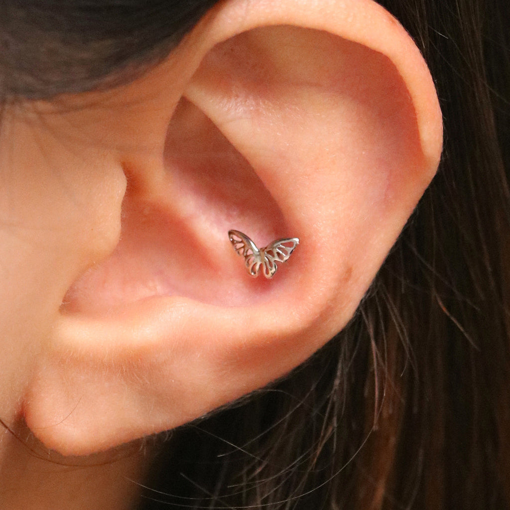 Butterfly piercing-2