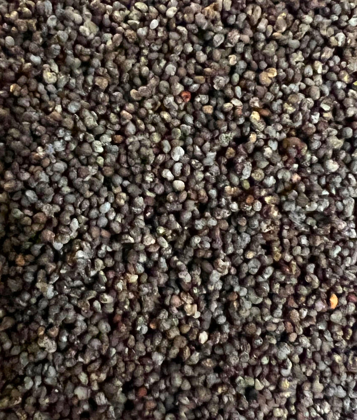 Ripkitty Premium Unwashed Untreated Unprocessed Organic Raw Papaver Somniferum Culinary Poppy Seeds-2