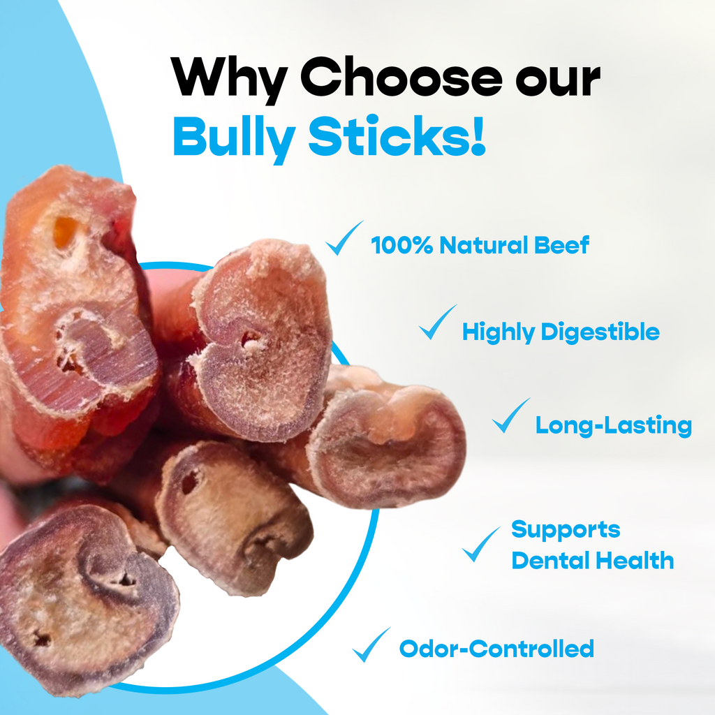 7" Jumbo Bully Sticks - Refill Pack-2