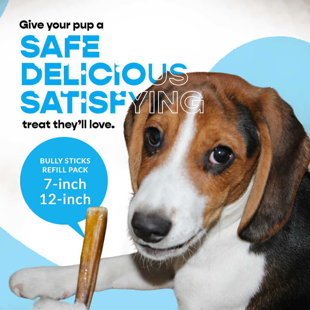 7" Standard Bully Sticks - Refill Pack-4