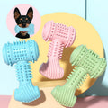 Indestructible TPR dog chew toy in bone shape with textured raised dots for teeth cleaning