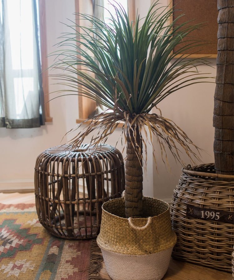 Moroccan Artificial Palm Tree In Pot-4