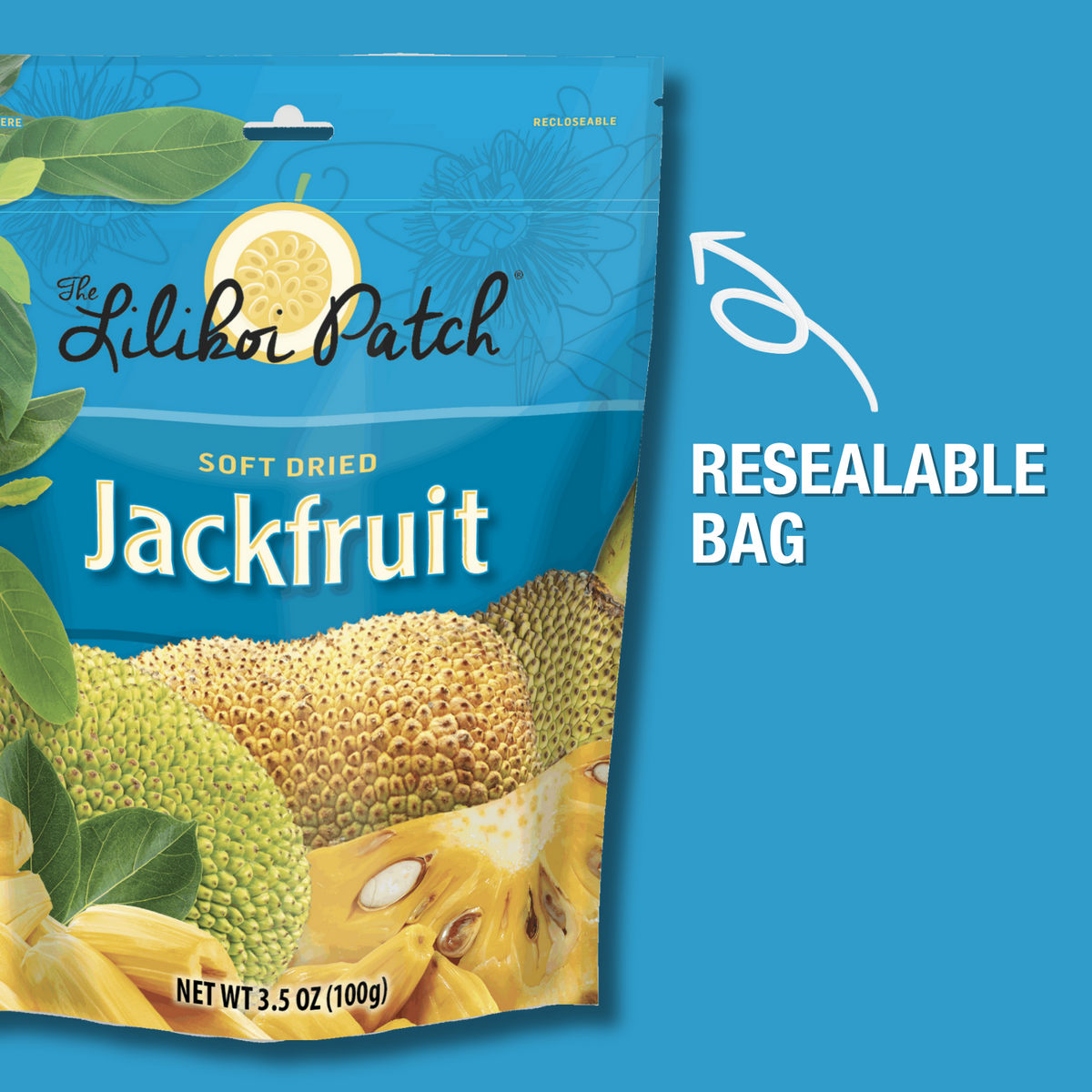 Soft Dried Jackfruit 3.5oz-3