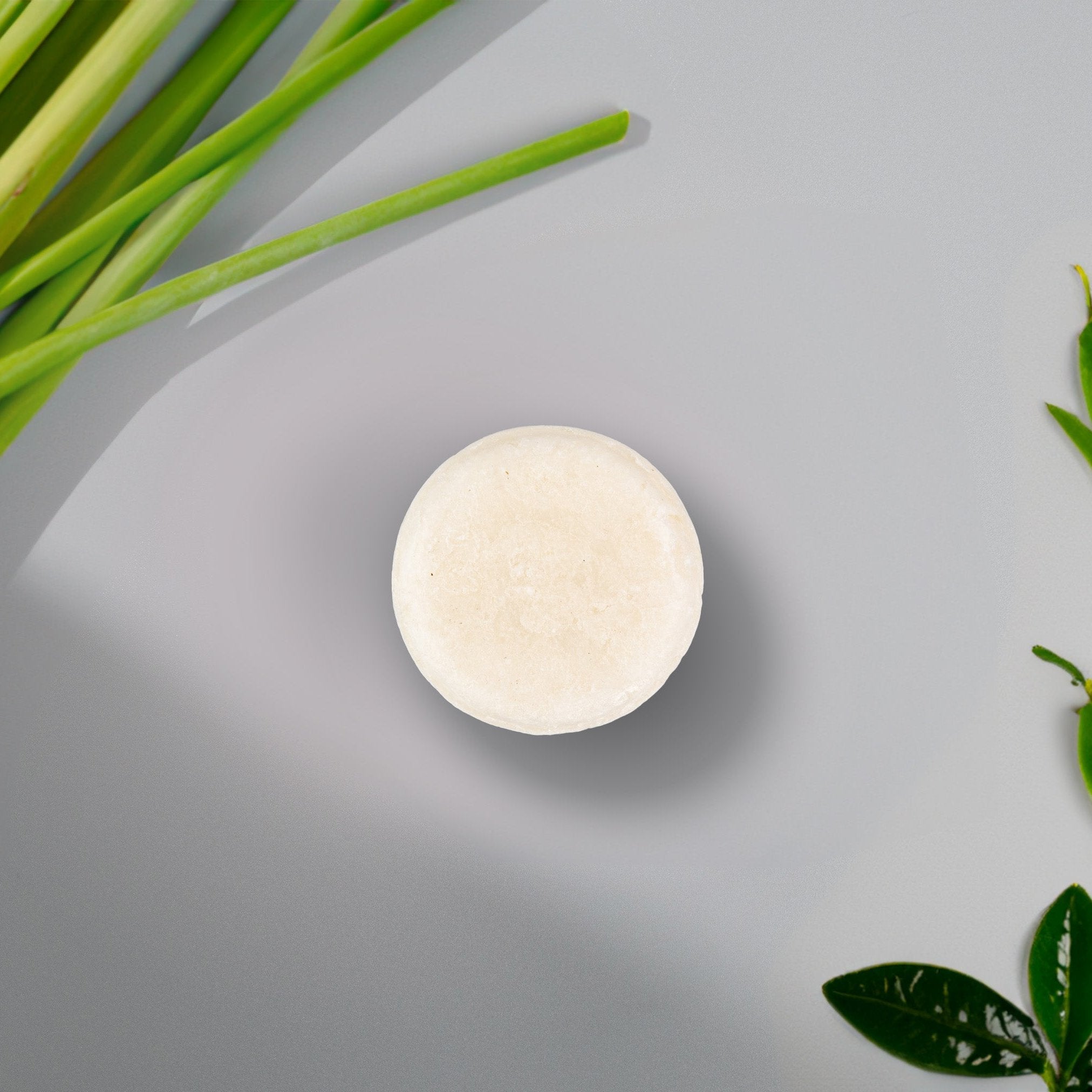 Sulfate-free shampoo bar showing natural botanical texture and eco-friendly plastic-free packaging. — view 5