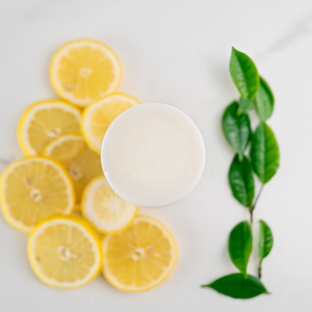 Sulfate-free conditioner bar crafted from natural plant butters and botanical oils in solid form — view 3