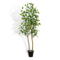 7' Citrus Lemon Tree-0