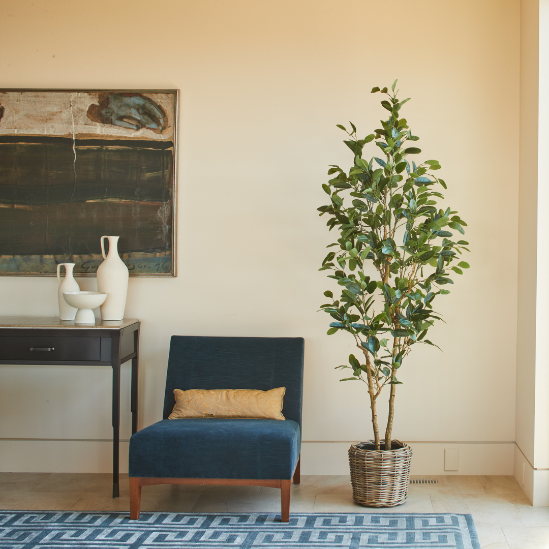7' Citrus Lemon Tree-1