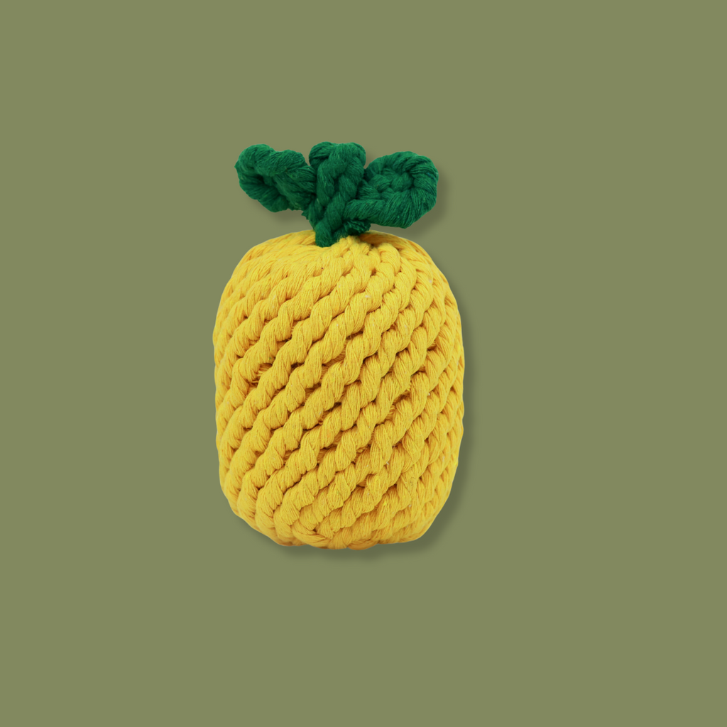 Monli Large Pineapple Rope Toy-1