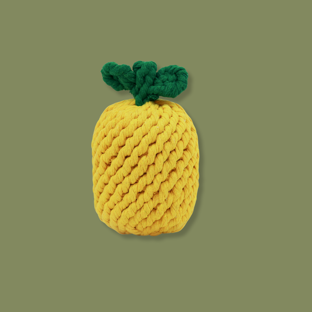 Monli Large Pineapple Rope Toy-1