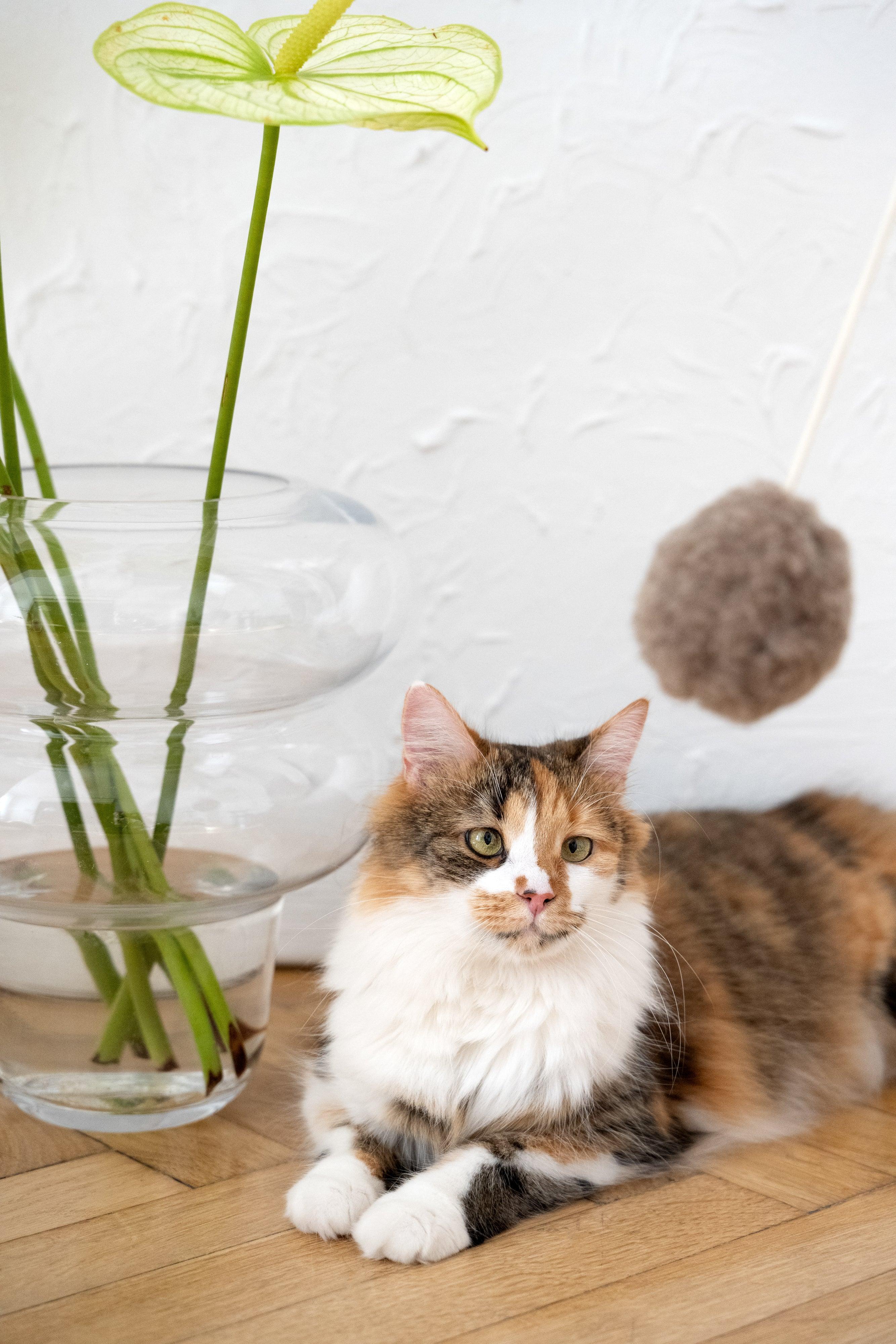 Natural sheepskin cat toy ball with wooden bead and soft bell for indoor play — view 5