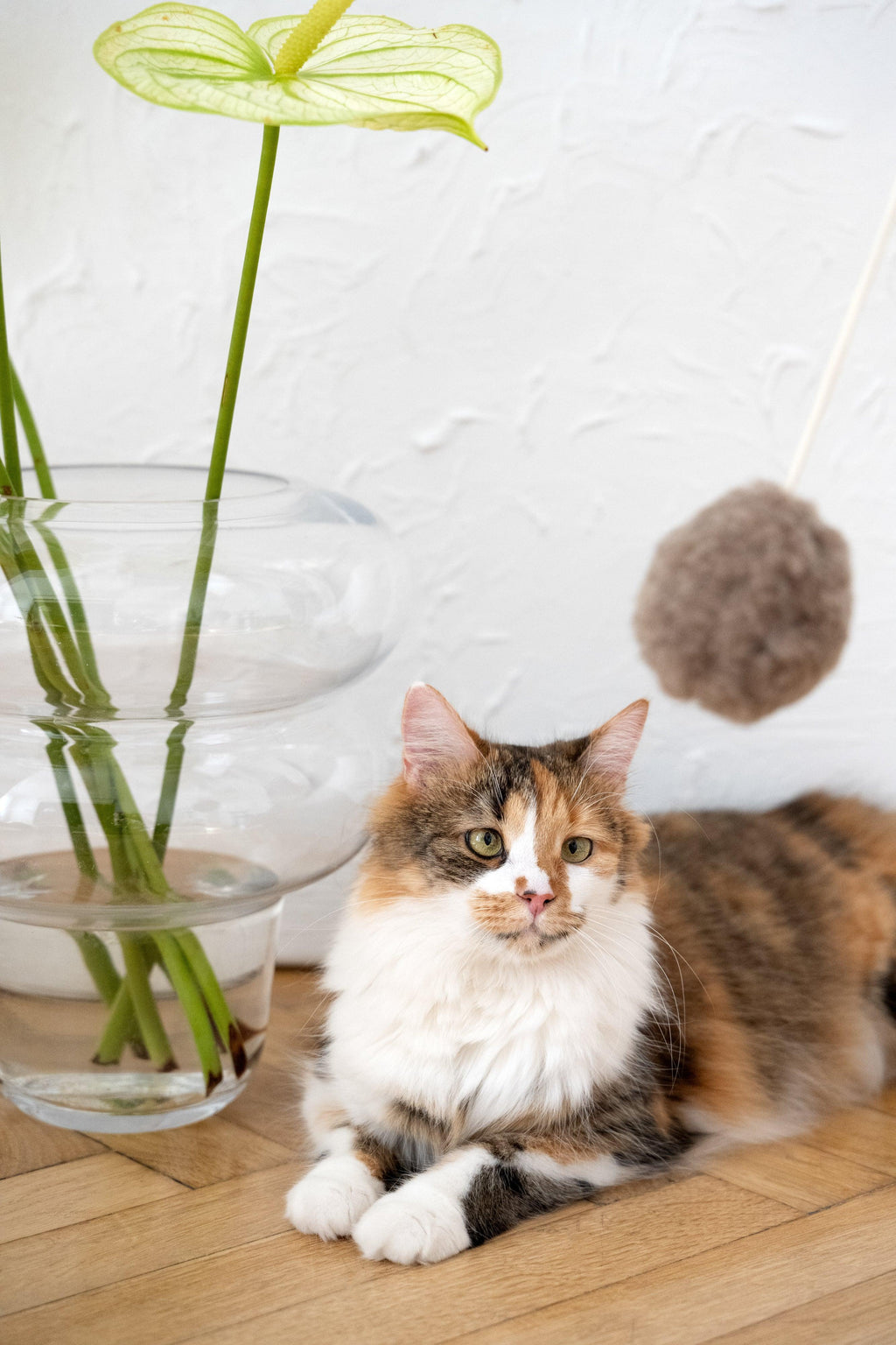 Natural woolen cat toy ball featuring a smooth wooden bead and a gentle metal bell