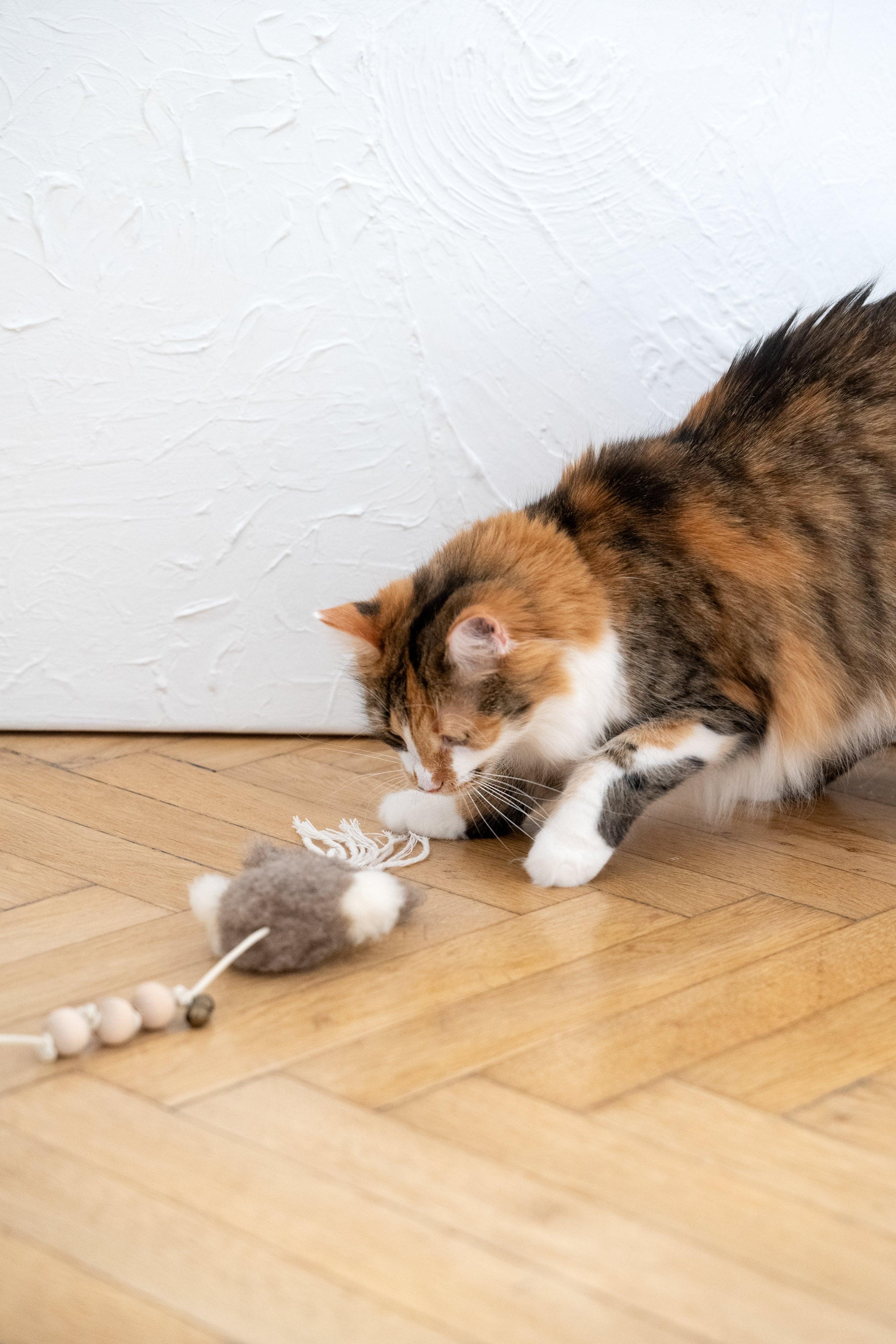 White natural sheepskin squid cat toy with jute string and wooden ball — view 3