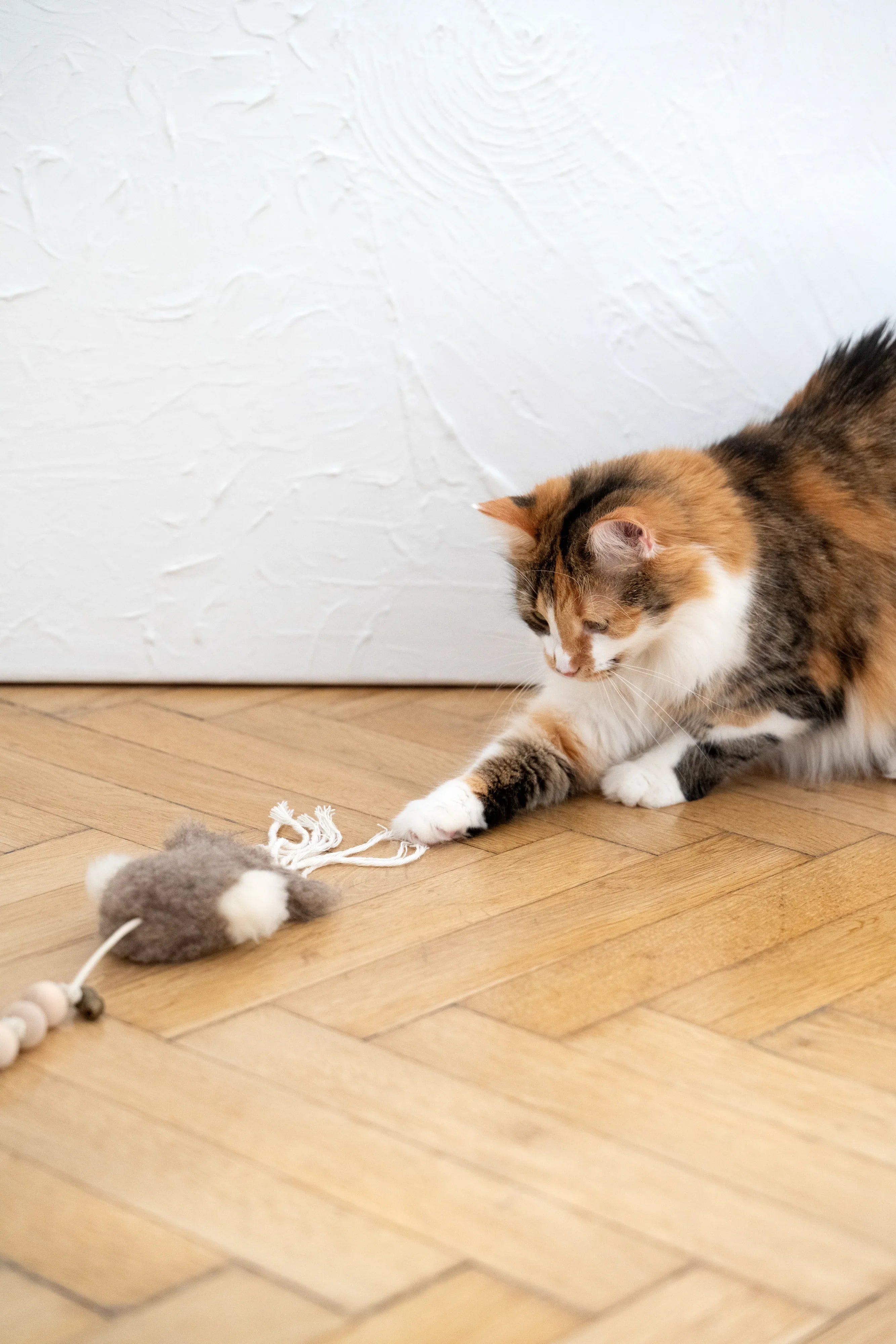 White natural sheepskin squid cat toy with jute string and wooden ball — view 2