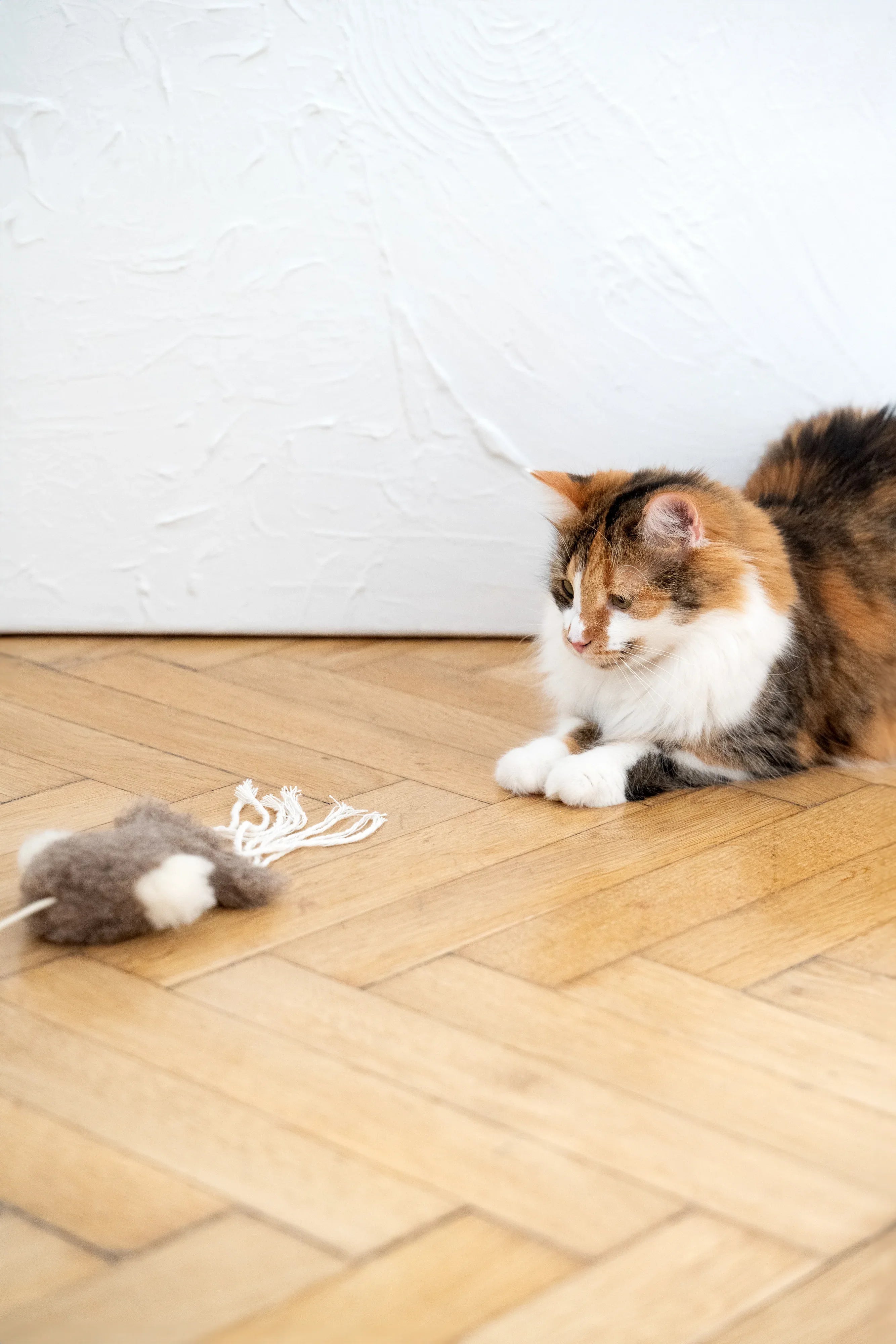 White natural sheepskin squid cat toy with jute string and wooden ball — view 4