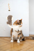 White natural sheepskin squid cat toy with jute string and wooden ball