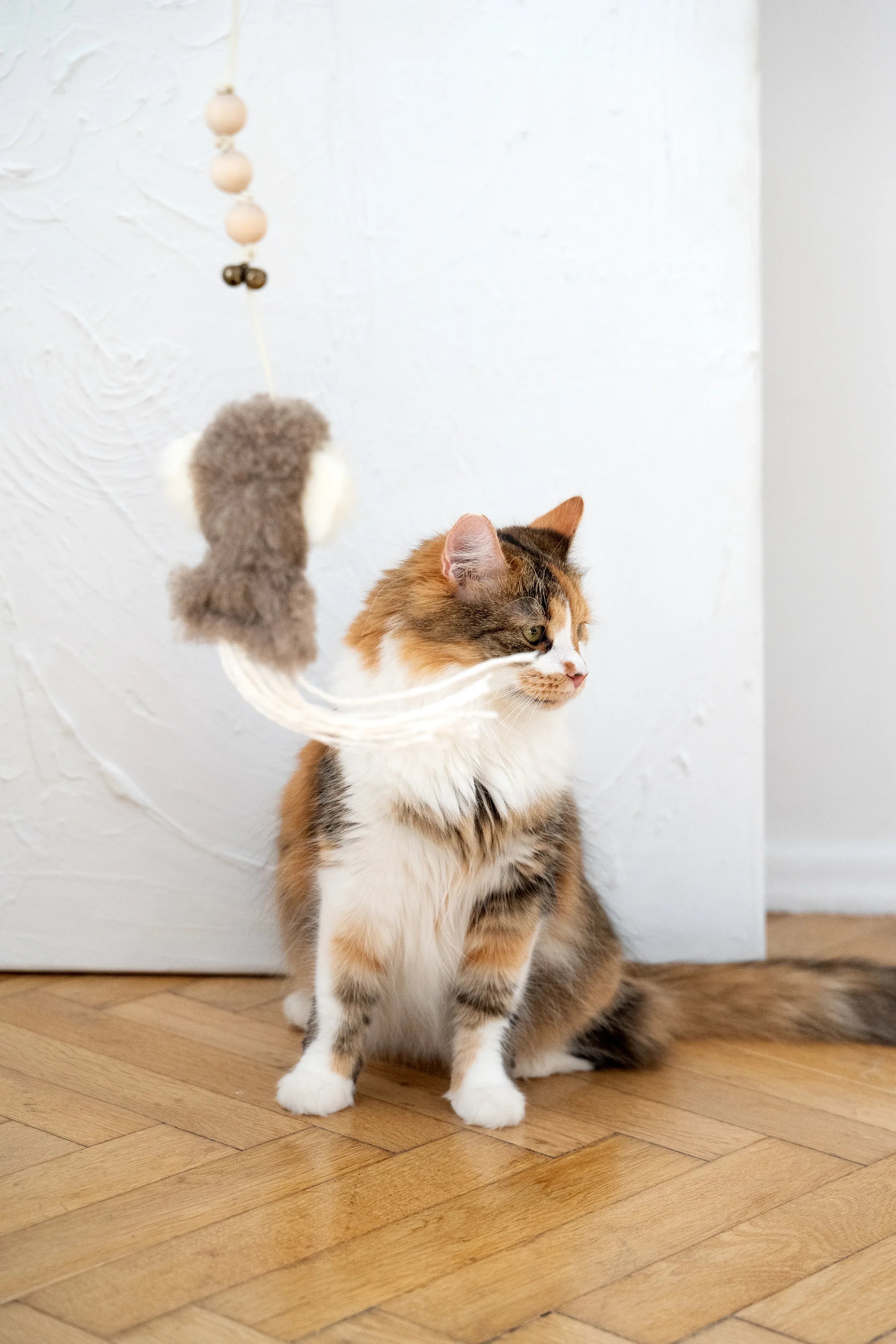 White natural sheepskin squid cat toy with jute string and wooden ball