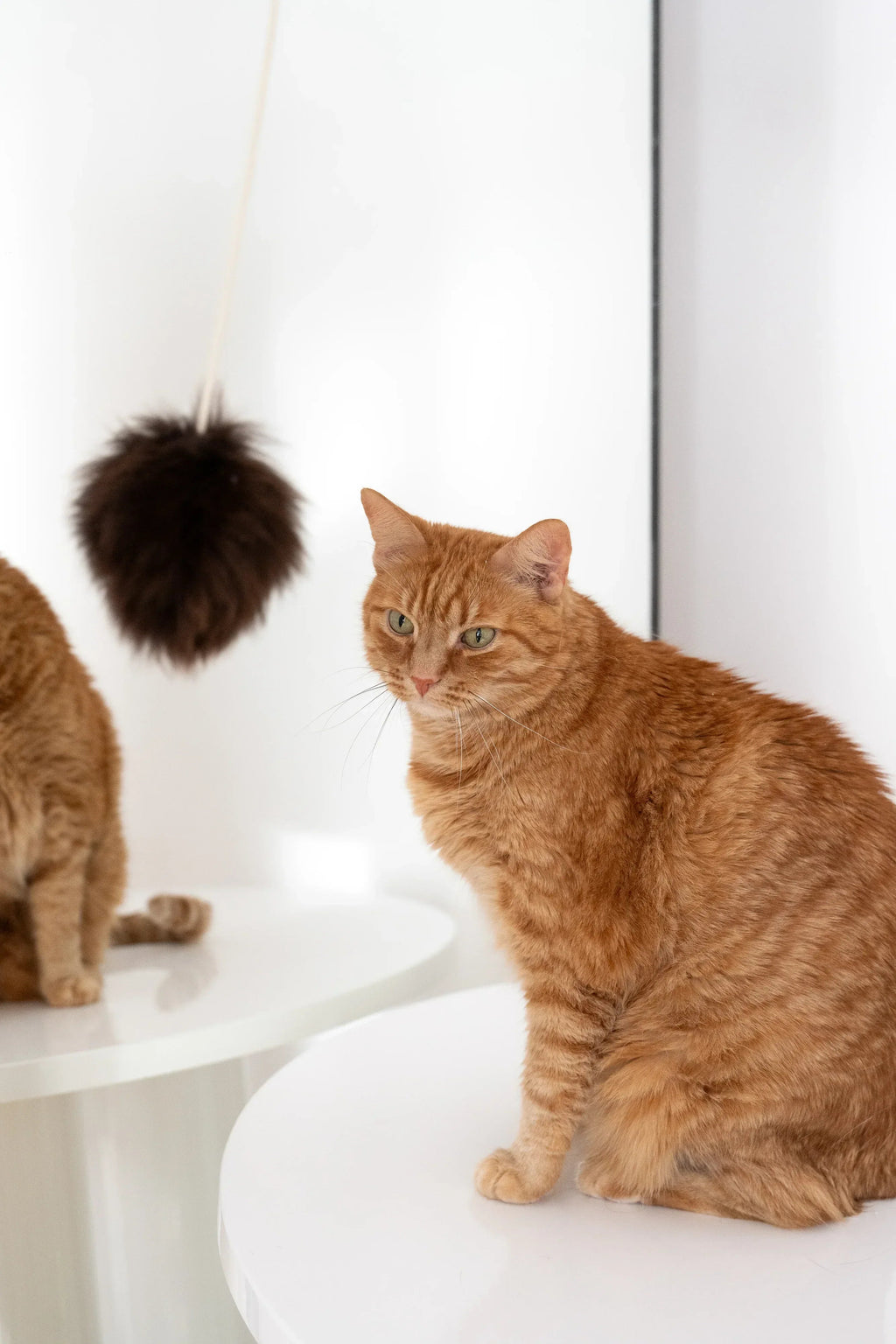 Natural woolen cat toy ball featuring a smooth wooden bead and a gentle metal bell — view 3