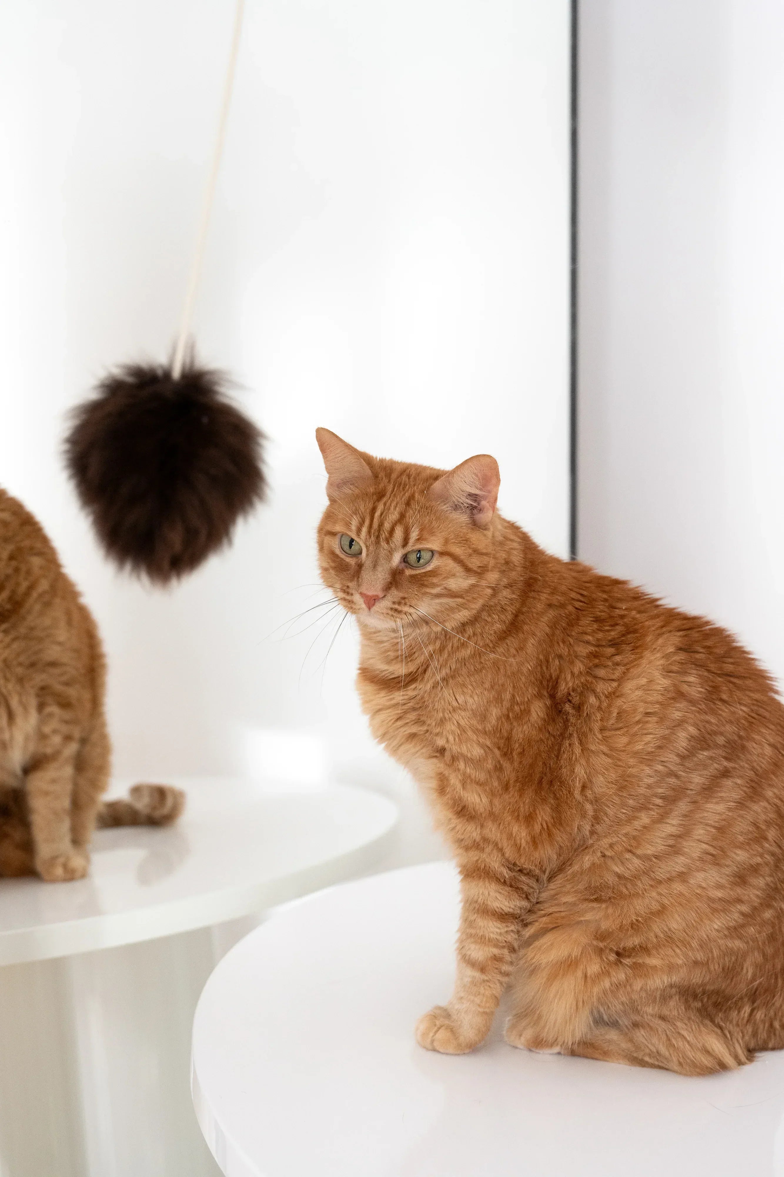 Natural woolen cat toy ball featuring a smooth wooden bead and a gentle metal bell — view 3