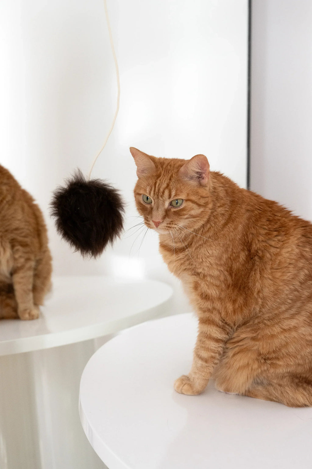 Natural woolen cat toy ball featuring a smooth wooden bead and a gentle metal bell — view 4